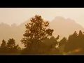 Franky Wah - Call My Name ft. Rae Morris