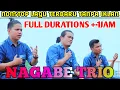 Download Lagu [NAGABE TRIO] LAGU TERBARU FULL ALBUM NONSTOP TANPA IKLAN