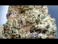Grape Cream Cake