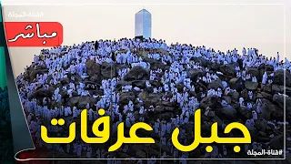 يوم عرفة مباشر   نقل شعائر الحج      ه  دندنها