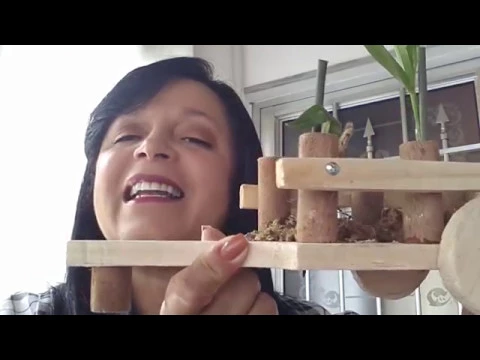 KEIKIS E CARROCINHA PARA PLANTAR ORQUÍDEAS NILCAS LIFE