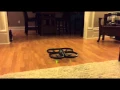 SMU s first NodeJS controlled AR Drone flight