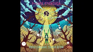 Mapa Pandiga & Madianbrains - The Mysterious Denizens Of The Labyrinth
