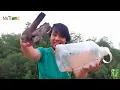 Download Lagu Cara membuat perangkap burung merbuk/perkutut mengunakan bekas botol minyak, dapat 2 poin.
