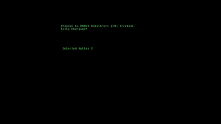 Python Fallout Terminal Test 8
