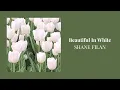 Lagu [1 Hour Loop] Shane Filan - Beautiful In White