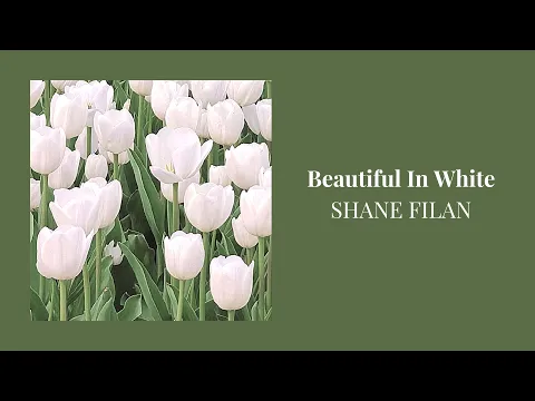 Download MP3 [1 Hour Loop] Shane Filan - Beautiful In White