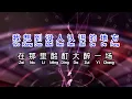 赵阿光 《 到了这个年纪 》 dao le zhe ge nian ji