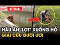 Download Lagu Pha giải cứu ĐƯỜI ƯƠI “HÁU ĂN” đang “CHÊNH VÊNH” GIỮA HỒ khi cố với lấy thức ăn | Tin tức SaigonTV