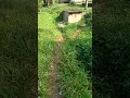 Nga Jug-jug Ka Hiji Lembur