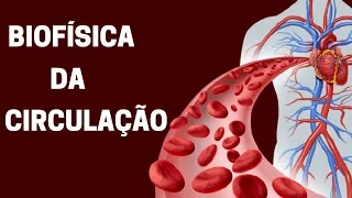 Biofísica da circulação sanguínea - Fisiologia humana