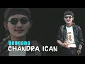 Download Lagu BONGANA - CHANDRA ICAN BAJIDOR ENAK