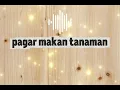 Download Lagu pagar Makan Tanaman - Dangdut Karaoke