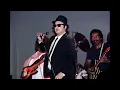 The Blues Brothers | Live at the Palladium | 7-1-1980