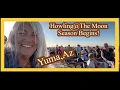Howling The Moon Season Begins Yuma AZ