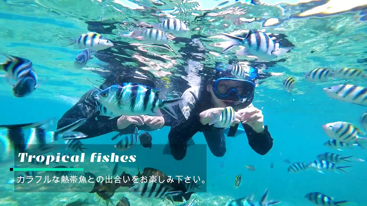 Blue Cave Private Snorkeling Tour with Photo & Video Service