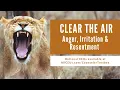 Download Lagu Cognitive Behavioral Tools for Addressing Anger, Irritation and Resentment | Clear the AIR
