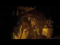 Rock'n Horse / the Dead Weather @ Street Scene