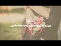 Carla Morrison - Te regalo (letra)