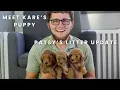 Patsy s F1B Cavapoo Puppies Kare s F1 Cavapoo Puppy Name Day