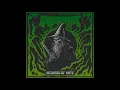 Dumblegore - Wizards Of Hate (Full Album 2025)