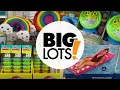 Big Lots Shop Browse w Me Summer Items Pool Accessories Toys Pet Accessories June 2022