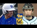 California vs Pittsburgh Exciting Women s College Softball Highlights Full Game 2026