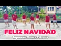Lagu FELIZ NAVIDAD (Dj Jurlan Remix) | Christmas Dance | Dance Fitness | Zumba