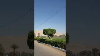 طريق القرنه   الأقصر         السياحة  مصر                                      الأقصر         دندنها