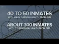 Mental health of inmates is a huge concern in Knox County jails