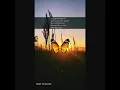 Download Lagu Story WA 30 detik - Lagu Barat || Screet Love Song by Morisette