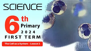 كتاب المعاصر ساينس سادسة إبتدائي ما هي الـ Cell وأين توجد Science Grade 6 Concept 1 Lesson 