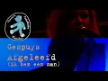 Download Lagu Gespuys - Afgeleefd (ik ben een man) (Live)