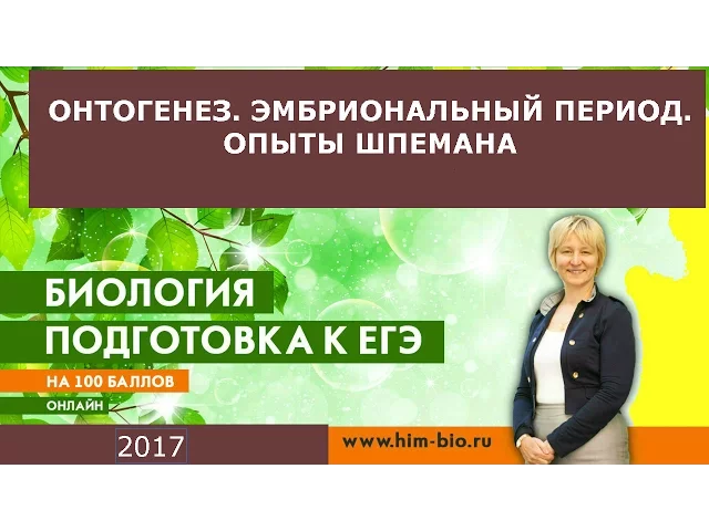 Онтогенез.Эмбриональный период. Что нужно знать для ЕГЭ