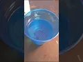 DOLLAR TREE RESIN VS LET S RESIN SKULL MOLD Part 1 on my channel