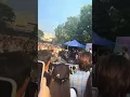 張敬軒-放棄的界限