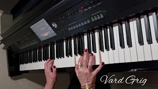 Tar Tukhtaryan, Vard Grig - Karotum em (Piano cover)