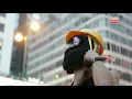 【人彈自唱版本】Dear Jane - 銀河修理員 Galactic Repairman (光復香港 時代革命MV)