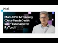 Multi-GPU AI Training Data-Parallel with Intel Extension for PyTorch Intel Software