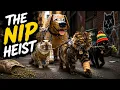 The Great Nip Heist of 2026