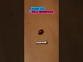 How to Kill Bedbugs at Home