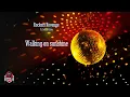 Rockers Revenge Ft   Donnie Calvin - Walking On Sunshine