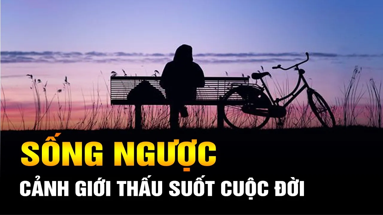 Outline Video Sống Ngược: Cảnh Giới Thấu Suốt Cuộc Đời Của Người Trưởng Thành