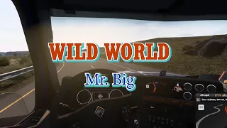 Download Wild World - Mr. Big karaoke MP3