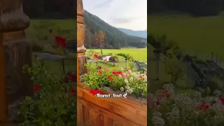 روحي يا نسمة عند الحبايب          دندنها