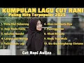 Download Lagu KUMPULAN LAGU CUT RANI PALING HITS TERPOPULER 2025 | SALAHMU SENDIRI, RINDU TAPI MALU