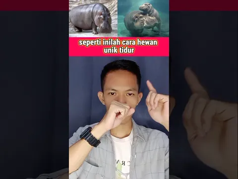 seperti inilah cara hewan ketika tidur #shorts