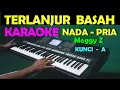 Download Lagu TERLANJUR BASAH - Meggy Z | KARAOKE NADA PRIA