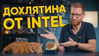 Wildcat Lake - новая царь-улитка среди процессоров