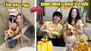 MÌNH TỔ CHỨC SINH NHẬT ĐẬU THÚI 2 TUỔI !